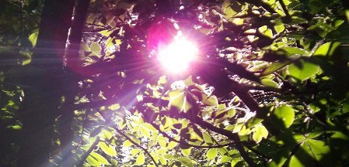 sun