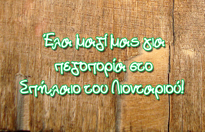 pezoporia3